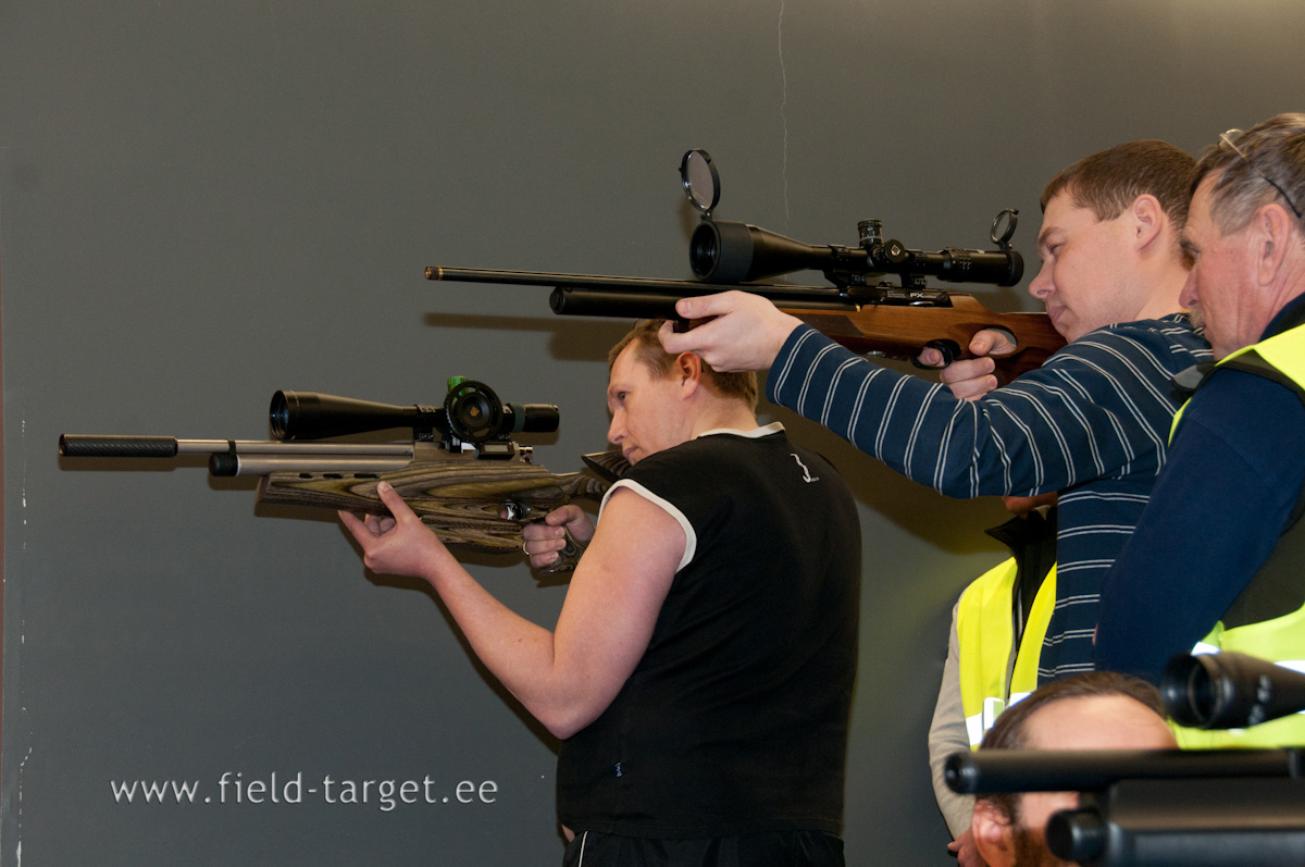 Favoriidid tulejoonel